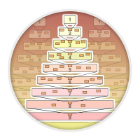 Конкурс по биологии «Систематика живых организмов»